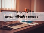 麻花豆mv传谋（麻花豆腐图片大全）